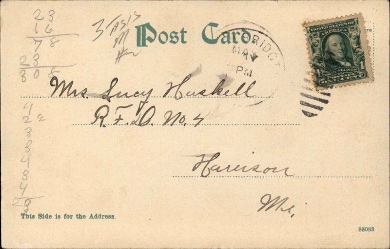 Maine Brook Trout Fish 1900s-20s Vintage Postcard