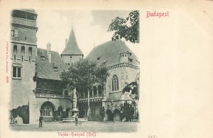Budapest Hungary~Vajda-Hunyad~1900s Postcard