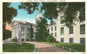 Vintage Postcard 1920's Florida State Capitol Building Tallahassee FL Structure
