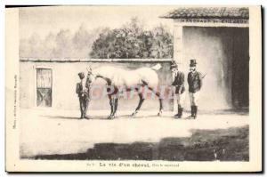 Old Postcard Riding Equestrian Life of Horse & # 39un