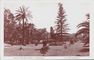 South Africa Mount Nelson Hotel Cape Town In The Gardens Postcard C071