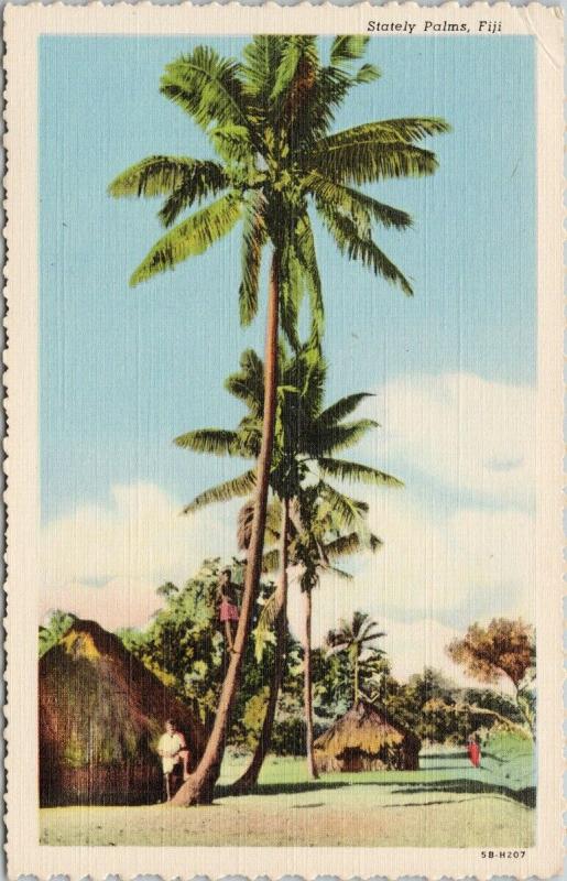 Stately Palms Fiji Huts Palm Trees UNUSED Vintage Linen Postcard D99