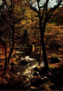 England Devon Dartmoor Becky Falls