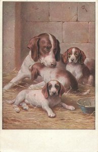 drawn puppy dogs postcard