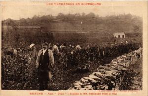 CPA Les Vendanges en Bourgogne - BEAUNE - Aux Gras - Domaine de M.M (586679)