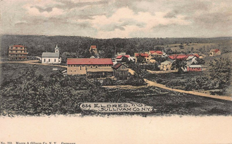 View of Eldred, Sullivan County, New York, Early Hand Colored Postcard, Unused