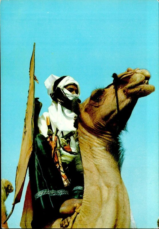 IMN03350 tuaregs at kano northern nigeria types folklore camel  africa 