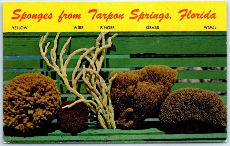Postcard - Sponges from Tarpon Springs, Florida 