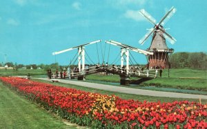 Vintage Postcard Windmill Island Canals Landmark Dutch Scene Holland Michigan MI