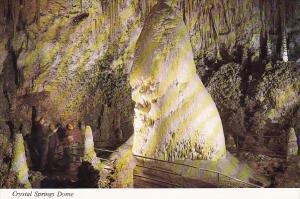 Crystal Spring Dome Carlsbad Caverns National Park New Mexico