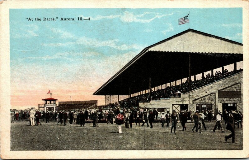 Postcard IL Aurora Crowds At the Races Horse Track American Flags C.1920 M22 