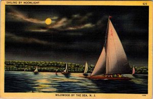 Postcard BOAT SCENE Wildwood New Jersey NJ AL2320