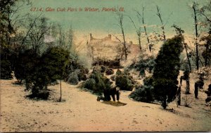 Illinois Peoria Glen Oak Park In Winter