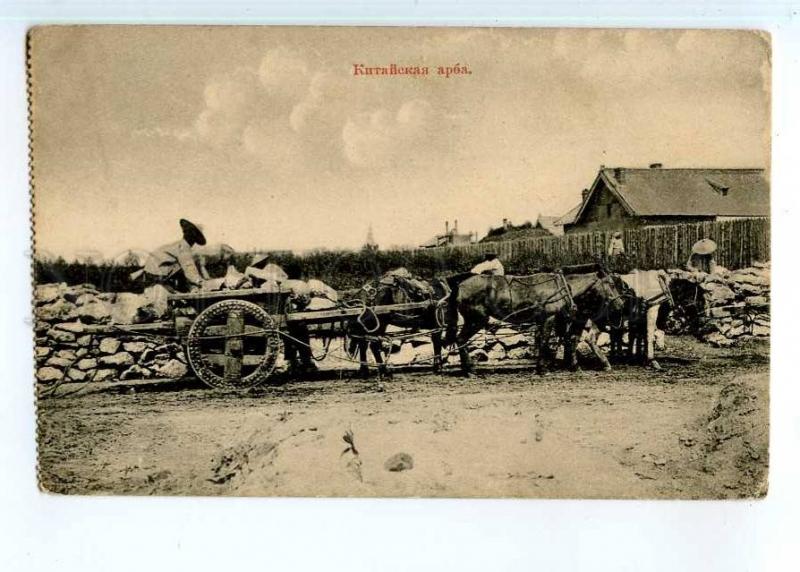 248563 CHINA Harbin bullock-cart Vintage russian postcard