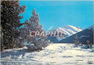 Modern Postcard Images of At Home in Winter At Oree de la Foret