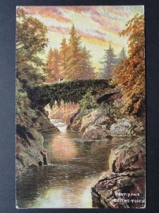 Wales: Pont-y-Pair, Bettws-y-Coed c1906 by S. Hildesheimer