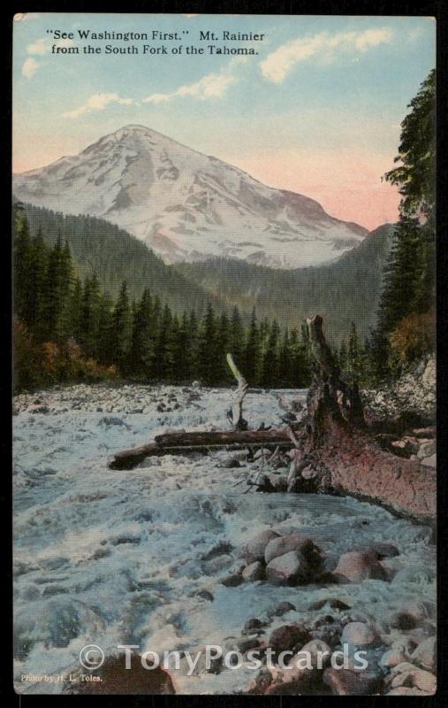 Mt. Rainier from the South Fork of the Tahoma