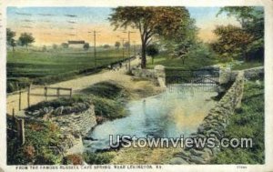 Russell Cave Spring - Lexington, KY