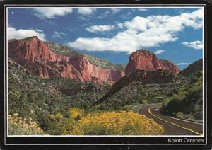 Utah Zion Kolob Canyons Horse Ranch Mountain and Tucupit Point