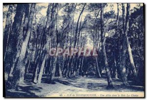 Old Postcard Noirmoutier A Allee in La Chaize Wood