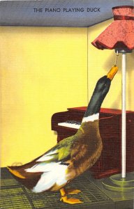 J11/ Hot Springs Arkansas Postcard Linen Piano Playing Duck Comic 22