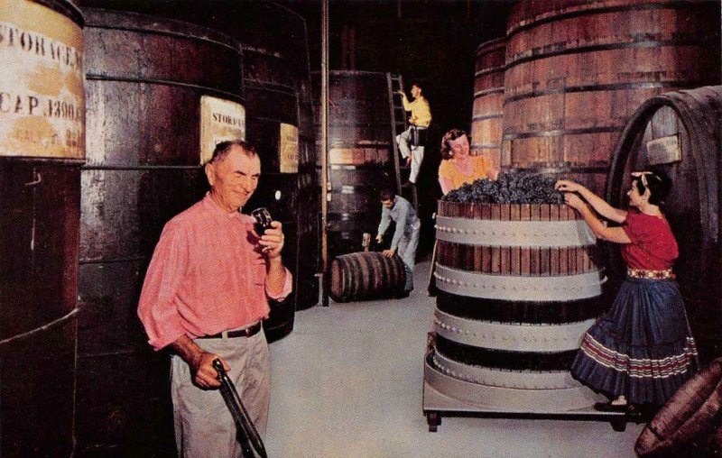 Santa Cruz Winery BARGETTO'S Soquel, CA Wine Barrels c1950s Vintage Postcard