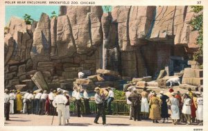 VINTAGE POSTCARD POLAR BEAR ENCLOSURE THE BROOKFIELD ZOO CHICAGO ILLINOIS 1937