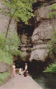 River Spring, Roaring River State Park Cassville, Missouri Vintage Postcard  