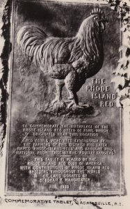 Rhode Island Auriesville The Rhode Island Red Commemorative Tablet Real Photo