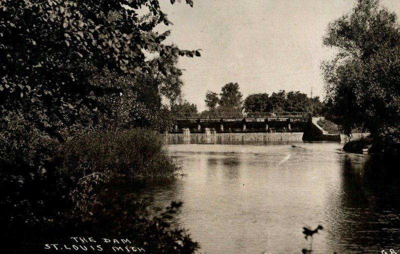 C.1910 RPPC The Dam St. Louis, Michigan View From Top Dam Real Photo Postcard G2 