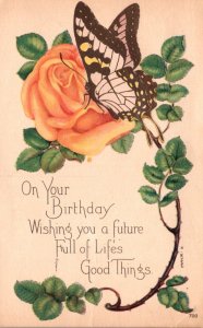 Butterflies Birthday Greetings With Butterfly and Orange Rose