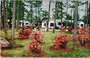 Chief Tomochichi Cottages & Restaurant, Hwy 17 Kingsland GA c1952 Postcard D63