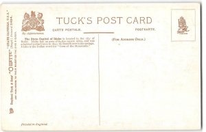 IDAHO STATE CAPITOL Boise, ID State Seal Tuck Oilette 1910s Vintage Postcard