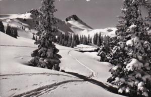 Switzerland Adelboden Eisamt Berglandschaft 1955 Photo