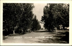 RPPC Street Scene Harlem Montana MT UNP Postcard C11