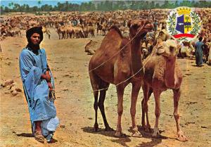 BG14205 types folklore moussem d asrir camel  morocco