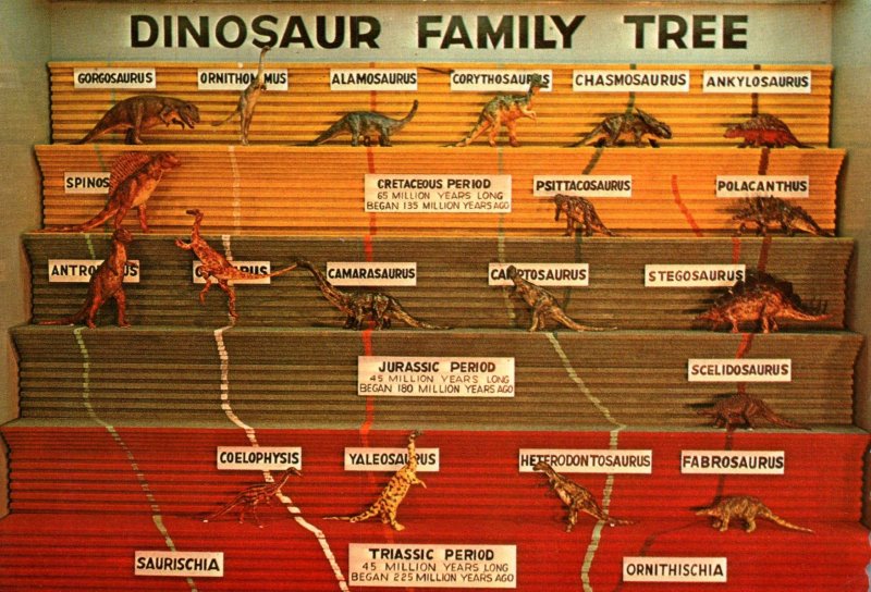 Dinosaur Family Tree,Dinosaur National Monument,Utah