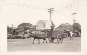 Philippines Manila Typical Ox Cart Real Photo