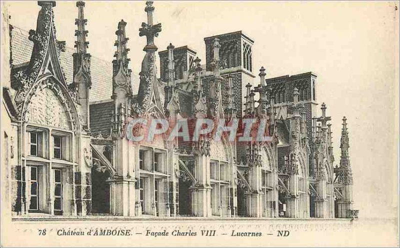Old Postcard Chateau d'Amboise Facade Charles VIII skylights