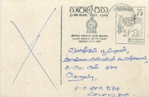 Entier Postal Stationery Postal Sri Lanka Ceylon Lion