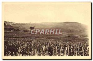 Old Postcard Folklore Vine Wine Harvest Cramant Champagne Premier Cru vineyar...
