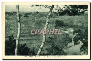 Postcard Old Mallorca Campo Almendros en flor