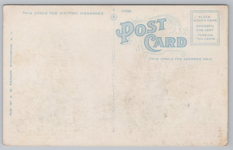 State View~Masonic Temple On Corner Binghampton New York~Vintage Postcard