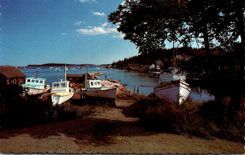 Maine Lobster Boats High and Dry