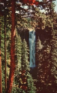 Vintage Postcard Salt Creek Falls Oregon Cascade Mountains Tourist Attraction OR