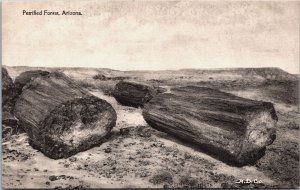 Petrified Forest Arizona Vintage Postcard C215