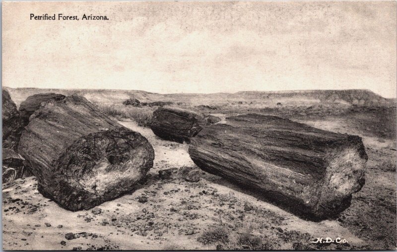 Petrified Forest Arizona Vintage Postcard C215