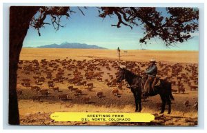 Greetings from Del Norte Colorado Postcard Horse Cowboy Rancher Cattle