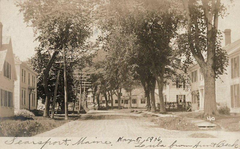 Searsport ME In 1906 Houses Telephone Poles Real Photo Postcard