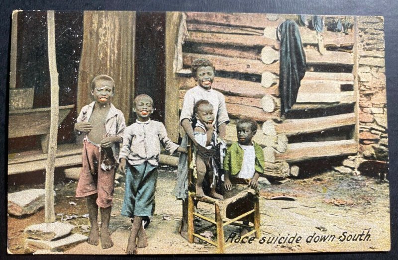 Mint USA Color Picture Postcard Black Americana Race Suicide Down South